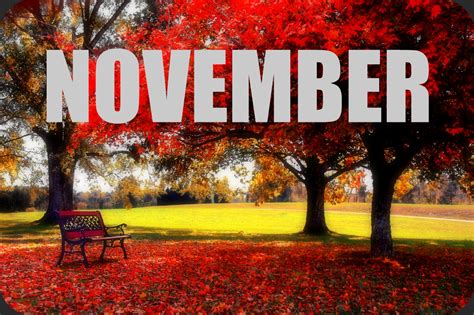 Must Read Faster: November Goals and Happenings