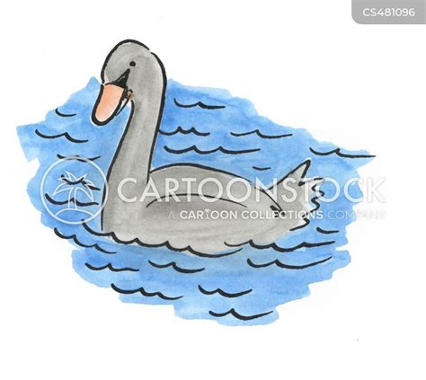 Black Swan Cartoons And Comics Funny Pictures From Cartoonstock