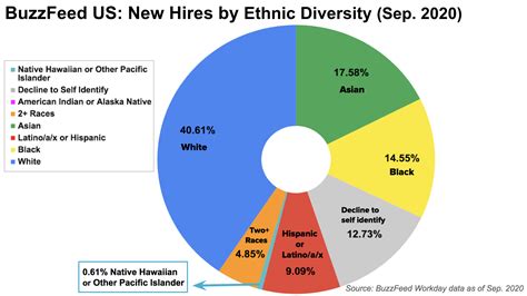 Us Racial Demographics Pie Chart Best Picture Of Chart Anyimage Org