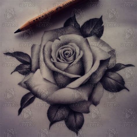Realistic Rose Drawing Tattoo By Madeleine Hoogkamer