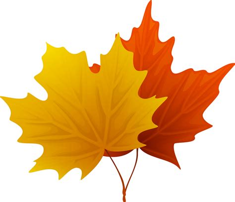 Fall Maple Leaves Png Decorative Clipart Image Clip Art Leaves Fall