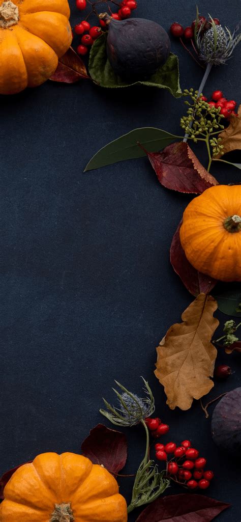Best 100 Thanksgiving Background Iphone For The Fall Season