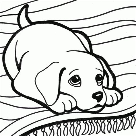 Wellcome to image archive: ausmalbilder hunde