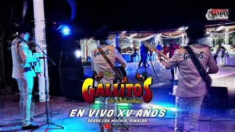 Los Gallitos De Chihuahua En Vivo Xv Años Vol1 2022 Disco Completo