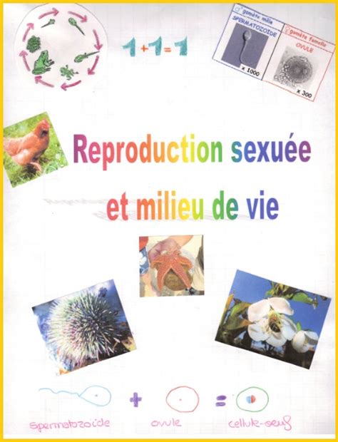reproduction sexuée Vive les SVT Les sciences de la vie et de la