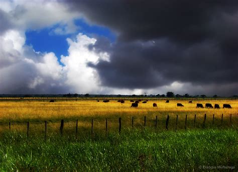 Cielos Y Campos De La Pampa Argentina Skies And Fields From Argentina