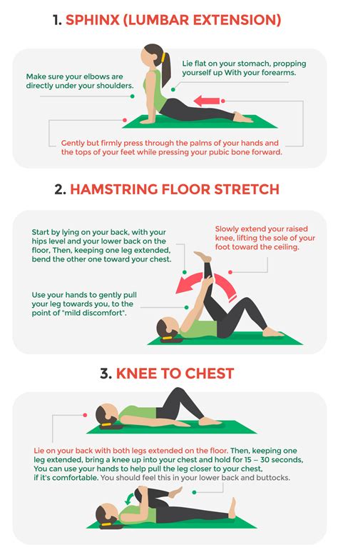 Physical Therapy Exercises For Lower Back Pain Peace Of Mind Home