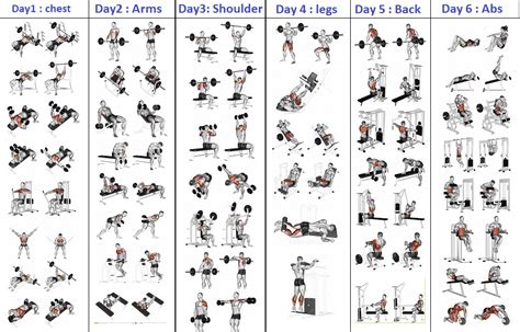 Check spelling or type a new query. Top 5 Day Workout Routine For Man - Bodydulding