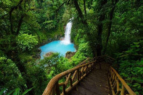 Rio Celeste River In Tenorio Volcano National Park Of Costa Rica