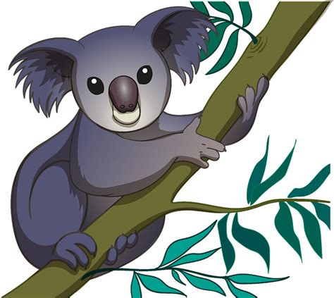 Koala Clipart Koala Images Clip Art Transparent Png X Clip The Best