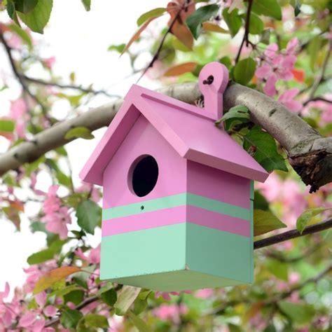 Die können sie relativ einfach sogar selber bauen. Vogelhaus selber bauen: So geht es Schritt für Schritt ...