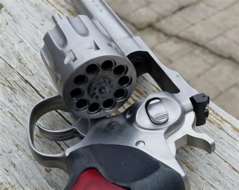 Ruger Gp100 22