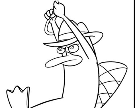 Platypus Coloring Page At Getdrawings Free Download