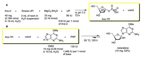 Includes indications, proper use, special instructions, precautions, and possible side effects. Scheme 3: Synthesis of nelarabine with intermediate ...