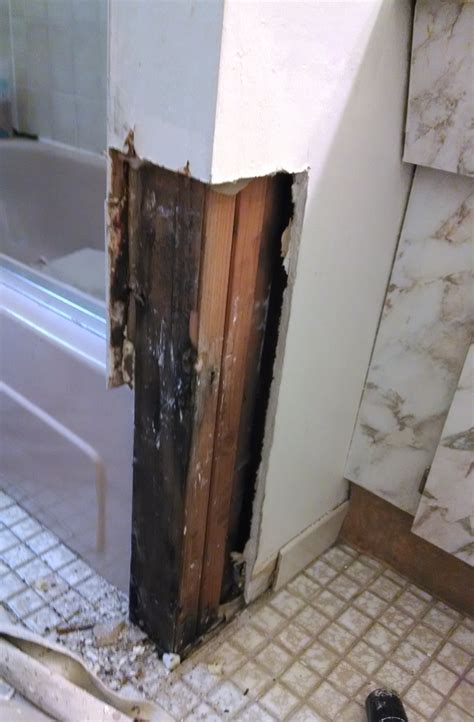 Fungus and fungus on the walls are often manifested in different parts of the house or apartment. 100 Pictures of Mold in the Home