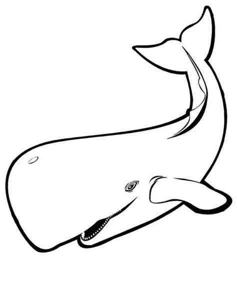 Printable Whale Coloring Pages