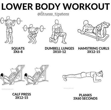pin by wewoomi on fitnesstips lower body workout calf press fitness body