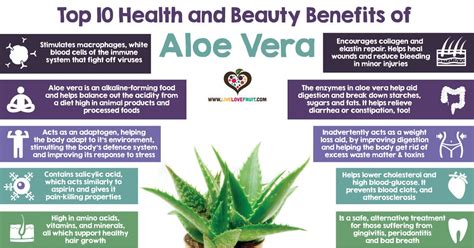 Top 10 Health And Beauty Benefits Of Aloe Vera Oral Health Health Care
