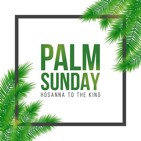 Premium Vector Palm Sunday Holiday Card Poster With Realistick Palm