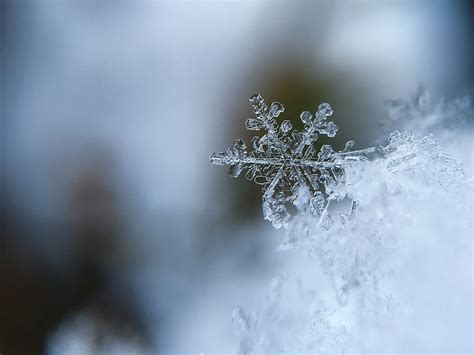 Free Download Snowflake Snow Crystal Snow Crystal Cold Macro
