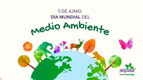 Todopreescolar Medio Ambiente Dia Mundial Del Medio Ambiente Medio