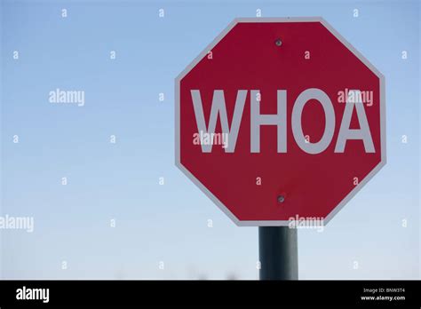 Stop Sign With The Word Whoa On It Stock Photo Alamy