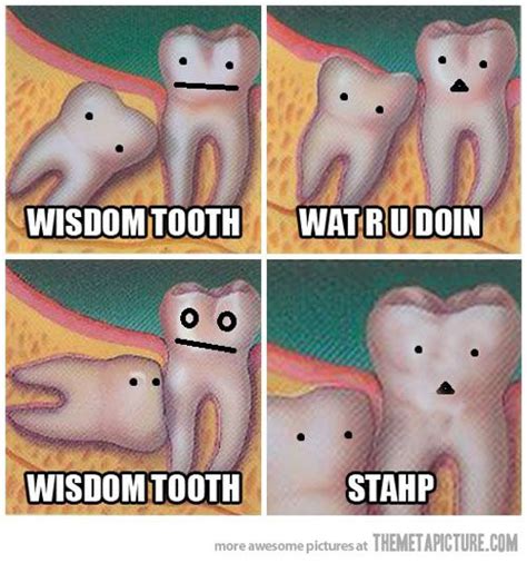 The Internet S Most Asked Questions Wisdom Teeth Bones Funny Funny Pictures