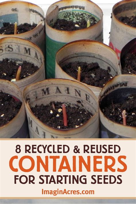 Recycled Seed Starting Containers For Gardening Seed Starting