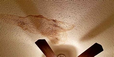 11 Roof Leak Causing Ceiling Damage Pictures