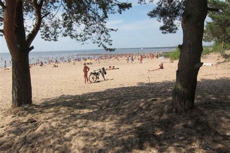 Пляж Дюны в Сестрорецке СПб нудистский как добраться