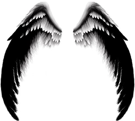 Wings Png Transparent Image Download Size 2440x2180px