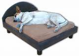 Real Beds For Dogs Pictures