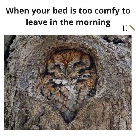 Reminder that these do not count as activity, they're just a bit of fun for all our residents! monday meme-entity-11 - ENTITY