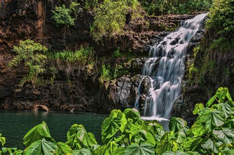 Hidden Gems Of Oahu With Waimea Waterfallbotanical Garden Honolulu