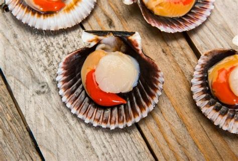 Can You Eat Raw Scallops The Rusty Spoon