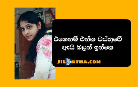 බිරිඳ හුවමාරු කිරීම Wife Sharing Sinhala Wal Katha Sri Lankan Sex
