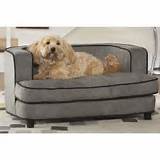 Luxury Sofa Beds For Dogs