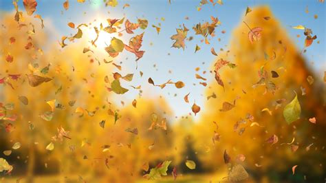 Autumn Fall Leaves Sideways Downloops Creative Motion Backgrounds
