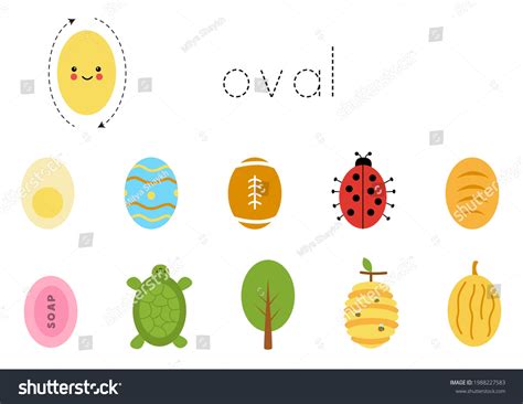 Basic Geometric Shapes Children Learn Oval Stock Vector Royalty Free
