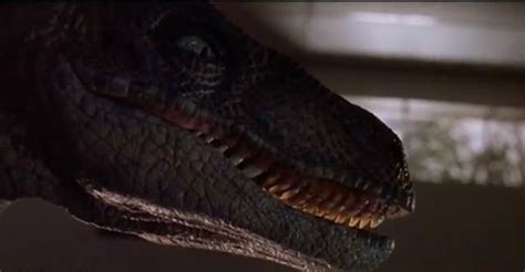 Image Bigone04 Park Pedia Jurassic Park Dinosaurs Stephen Spielberg
