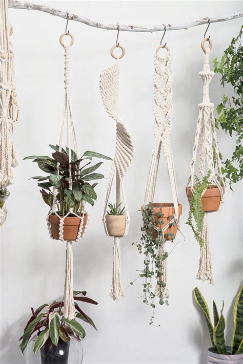 First Class Indoor Ceiling Plant Hangers Lavender Hanging Ball