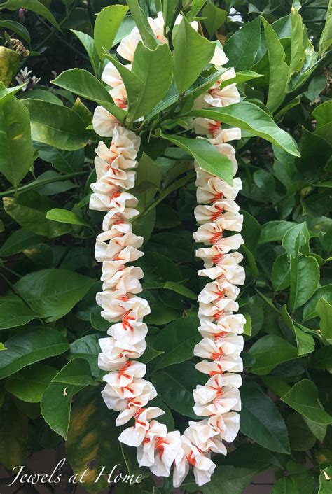 This article has been viewed 358,413 times. DIY Ribbon Leis | Diy ribbon, Luau crafts, Graduation leis