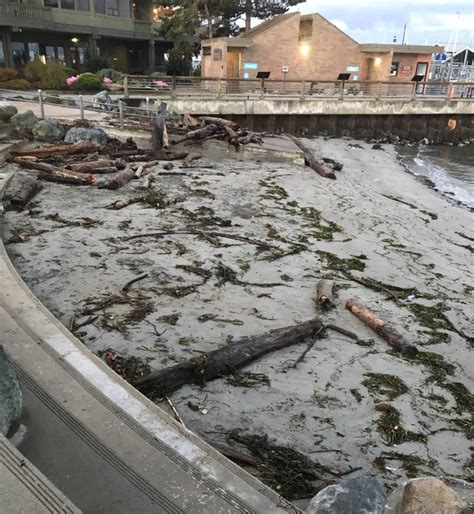 Scene In Edmonds After The Wind And Waves My Edmonds News