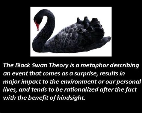 Black Swan Affair By Kl Kreig Black Swan Swan Swan Quotes