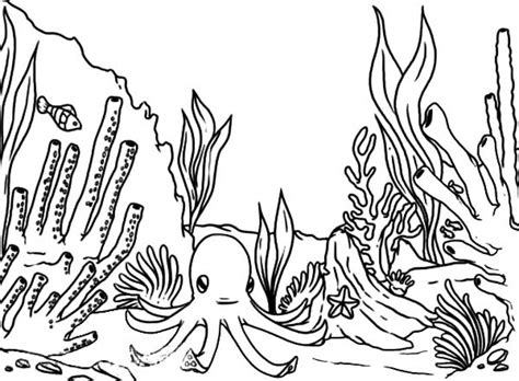 Coral reefs develop in warm and shallow water near the land. Great Barrier Reef Coloring Page at GetColorings.com ...