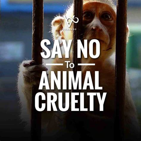 Say No To Animal Cruelty World Animal Day International Animal