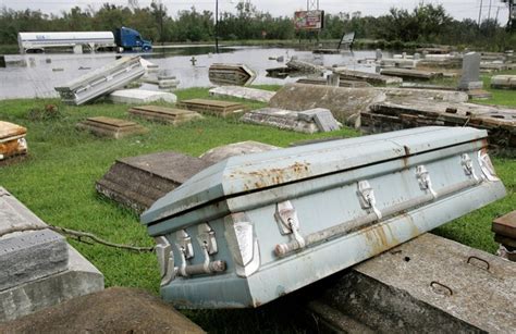 The Hollywood Cemetery After Hurricane Ike September 2008 In Orange