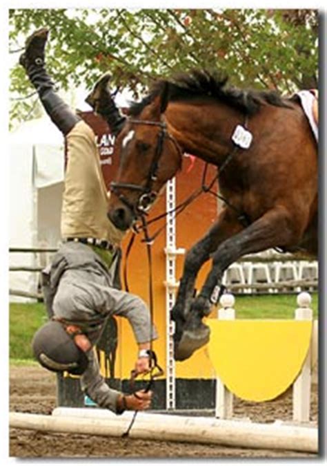 Maybe you would like to learn more about one of these? English Riding | EQUINE Ink | Page 2