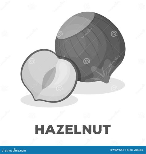 Hazelnuts In Shelldifferent Kinds Of Nuts Single Icon In Monochrome