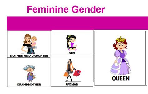Feminine Gender স্ত্রীলিঙ্গ কাকে বলে উদাহরণ সহ লিখ English Grammar